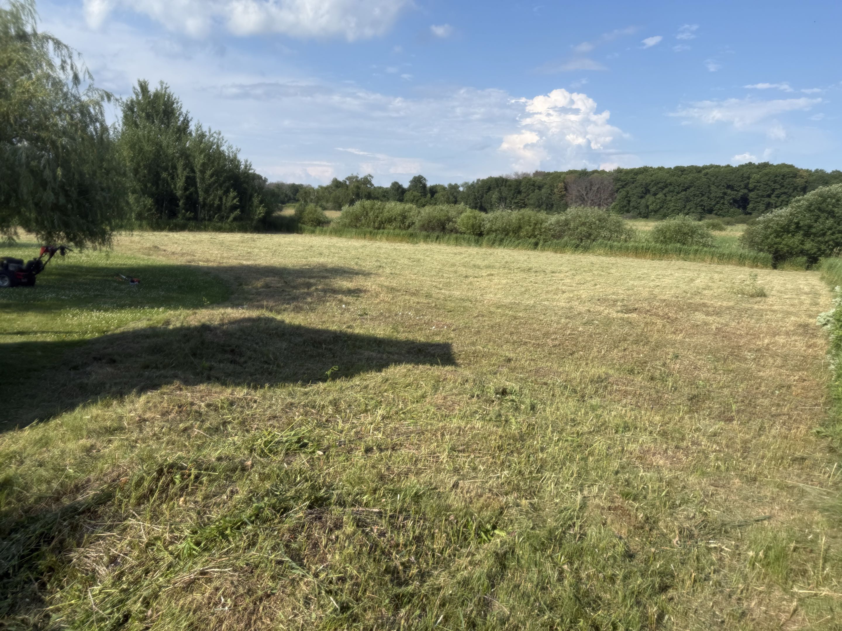 Brush removal project
