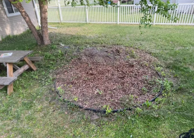 Trail clearing project